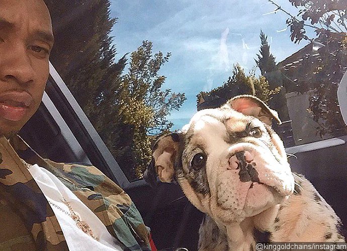 Kylie Jenner and Tyga Get New $50K Puppy From Friend