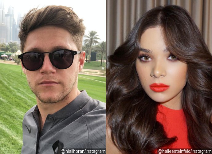 Niall Horan and Hailee Steinfeld Reignite Dating Rumors After Spotted at Backstreet Boys Show