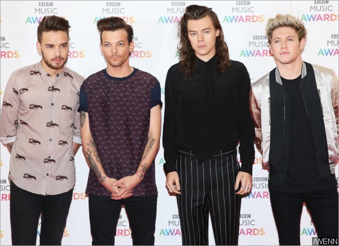 Say It Isn't So! One Direction to Split for Good After Extended Hiatus