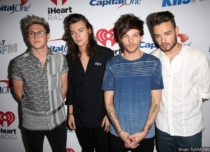 Relax! One Direction Is NOT Permanently Breaking Up