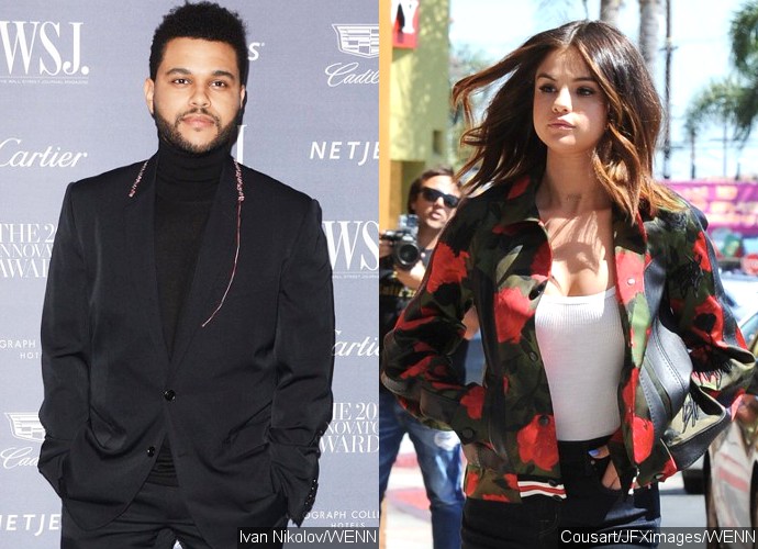 The Weeknd Secretly Serenades Selena Gomez at Brazilian Concert Backstage