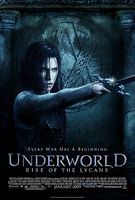Underworld: Rise of the Lycans (2009) Profile Photo