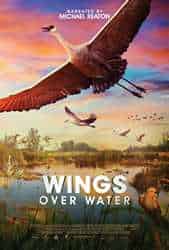 Wings Over Water Profile Photo