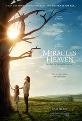 Miracles from Heaven (2016) Profile Photo
