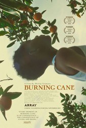 Burning Cane (2019) Profile Photo