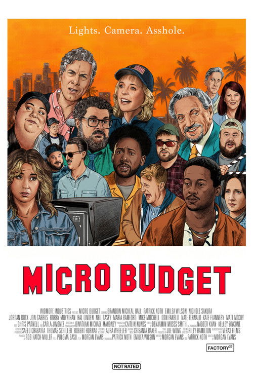 Micro Budget