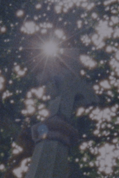 Sacred To The Memory Of