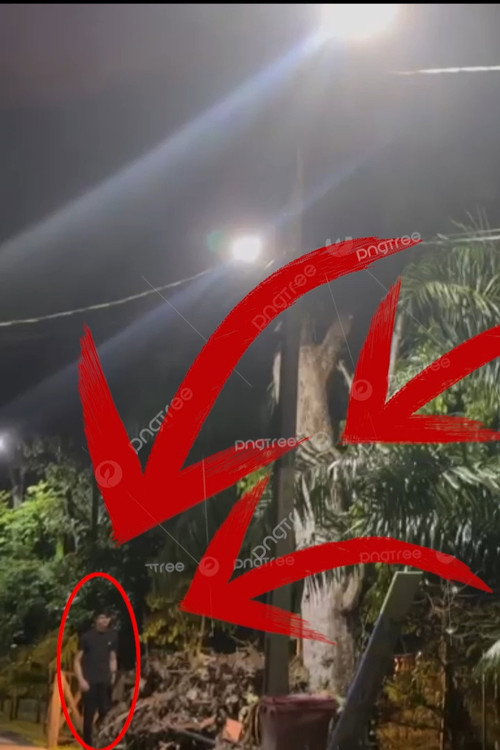 Vigilante de Copas