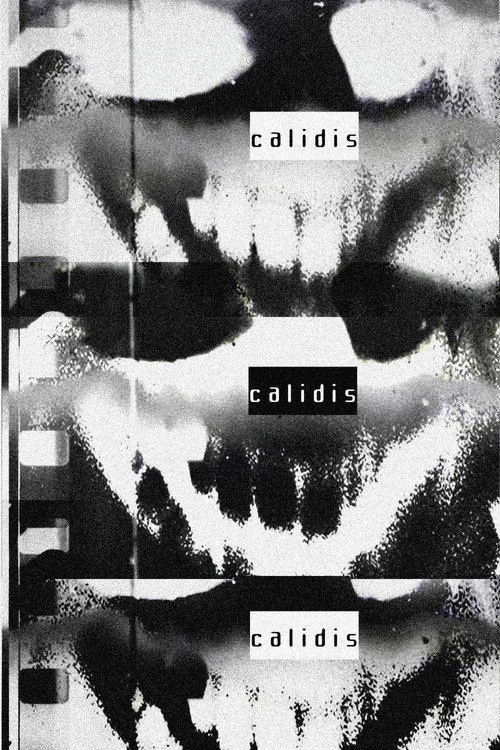 Calidis