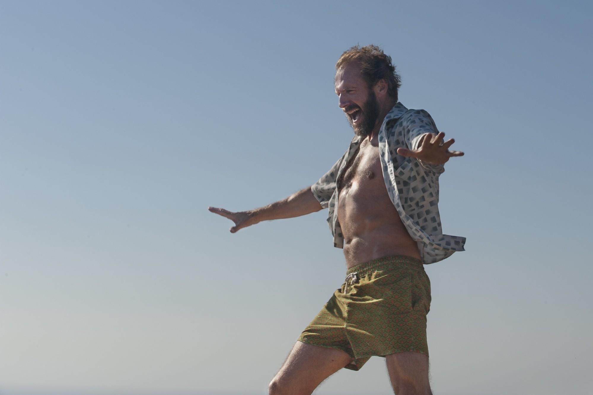 Ralph Fiennes stars as Harry in Fox Searchlight Pictures' A Bigger Splash (2016)