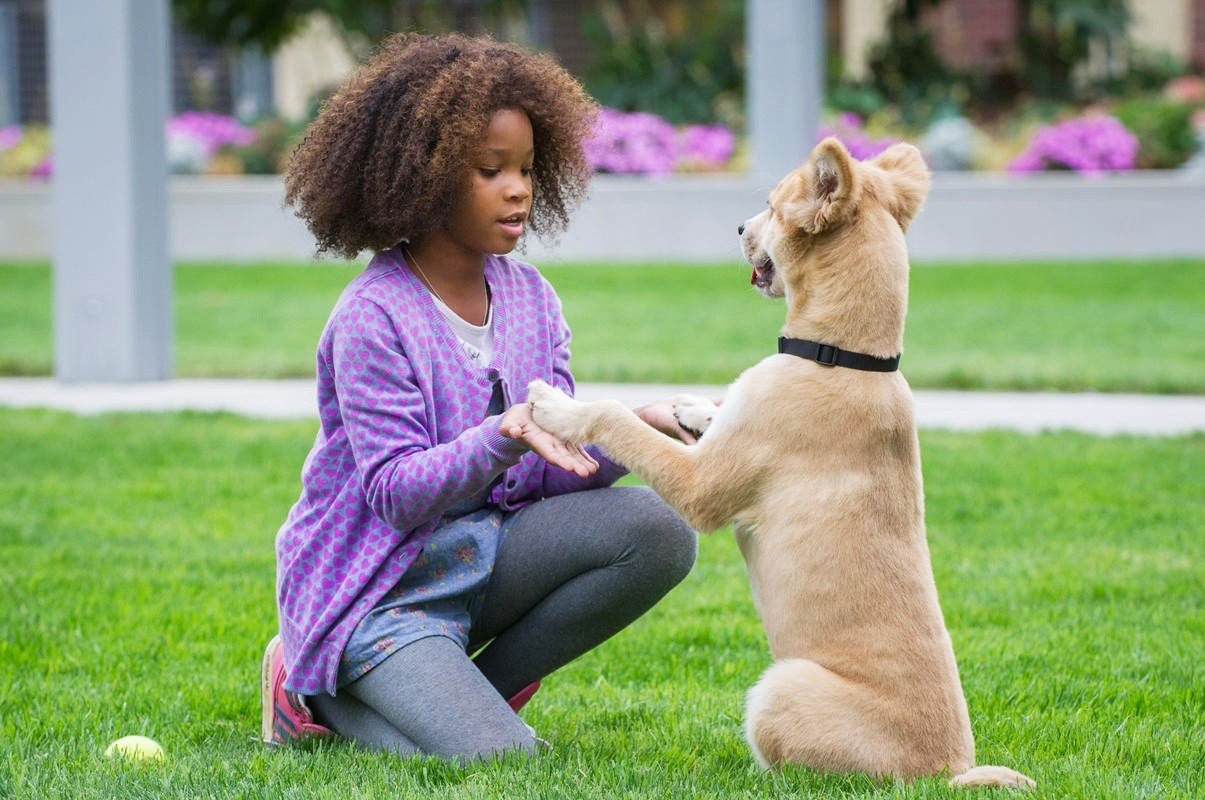 Quvenzhane Wallis stars as Annie in Columbia Pictures' Annie (2014). Photo credit by Barry Wetcher.