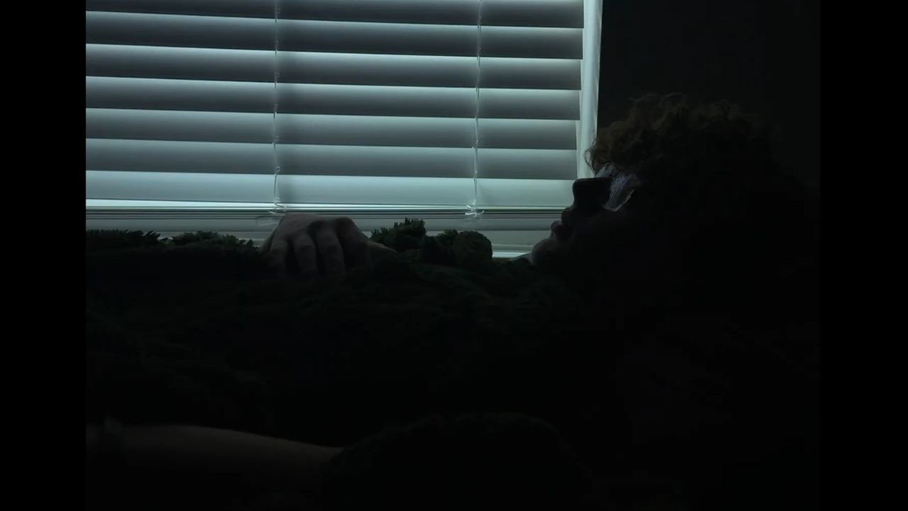 Bed Rot (2026)