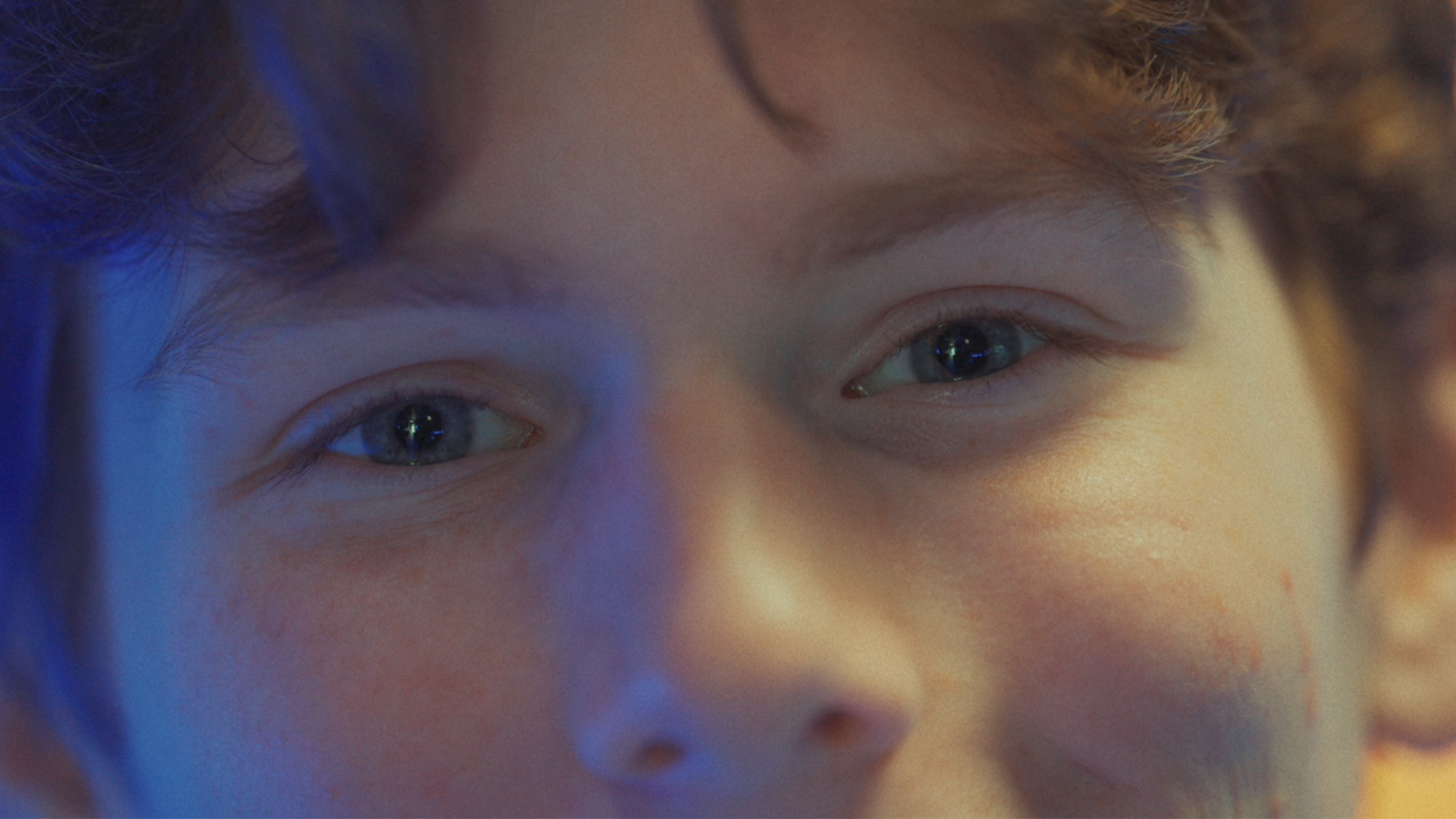 Blowfish (2026)