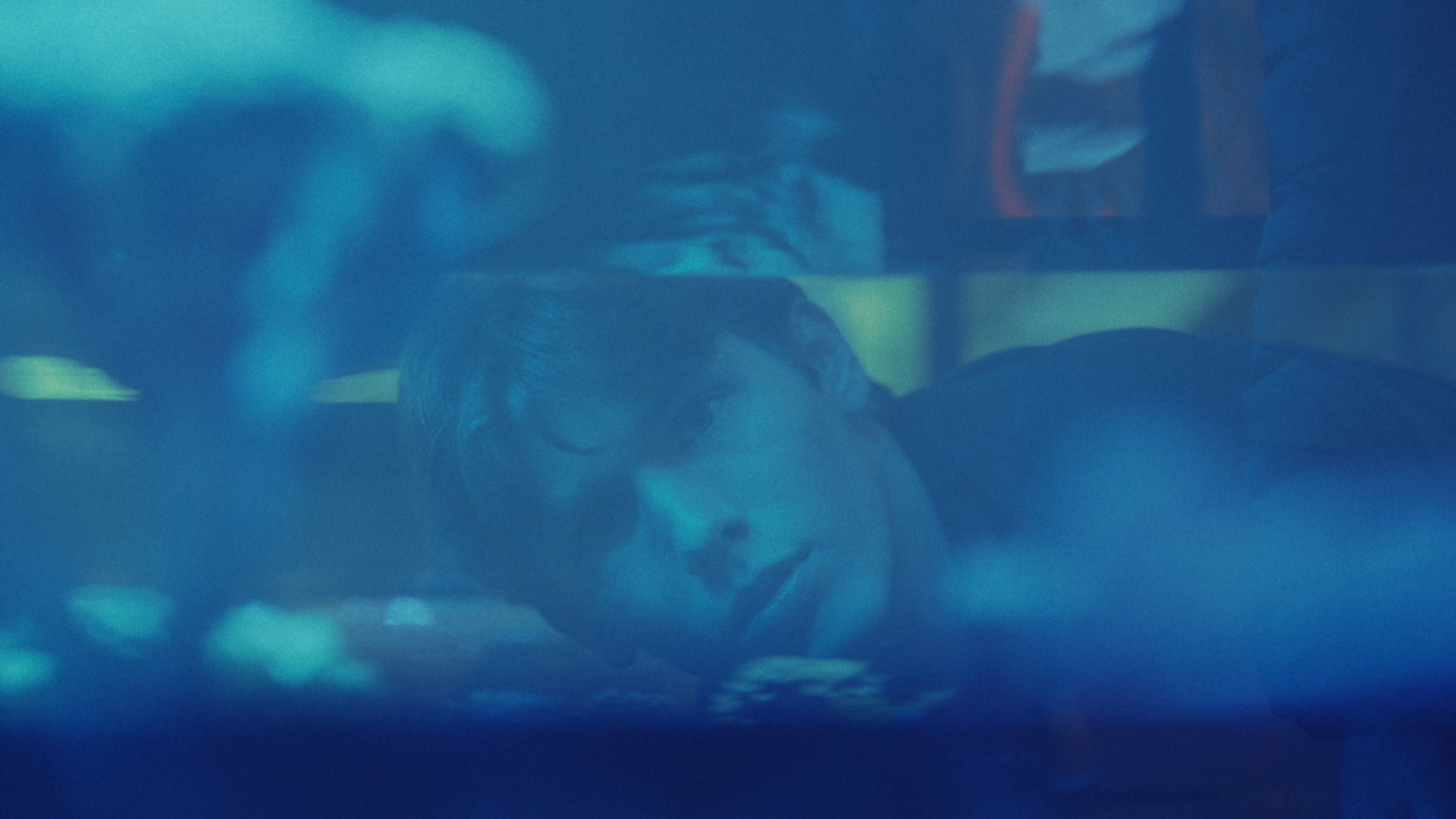 Blowfish (2026)