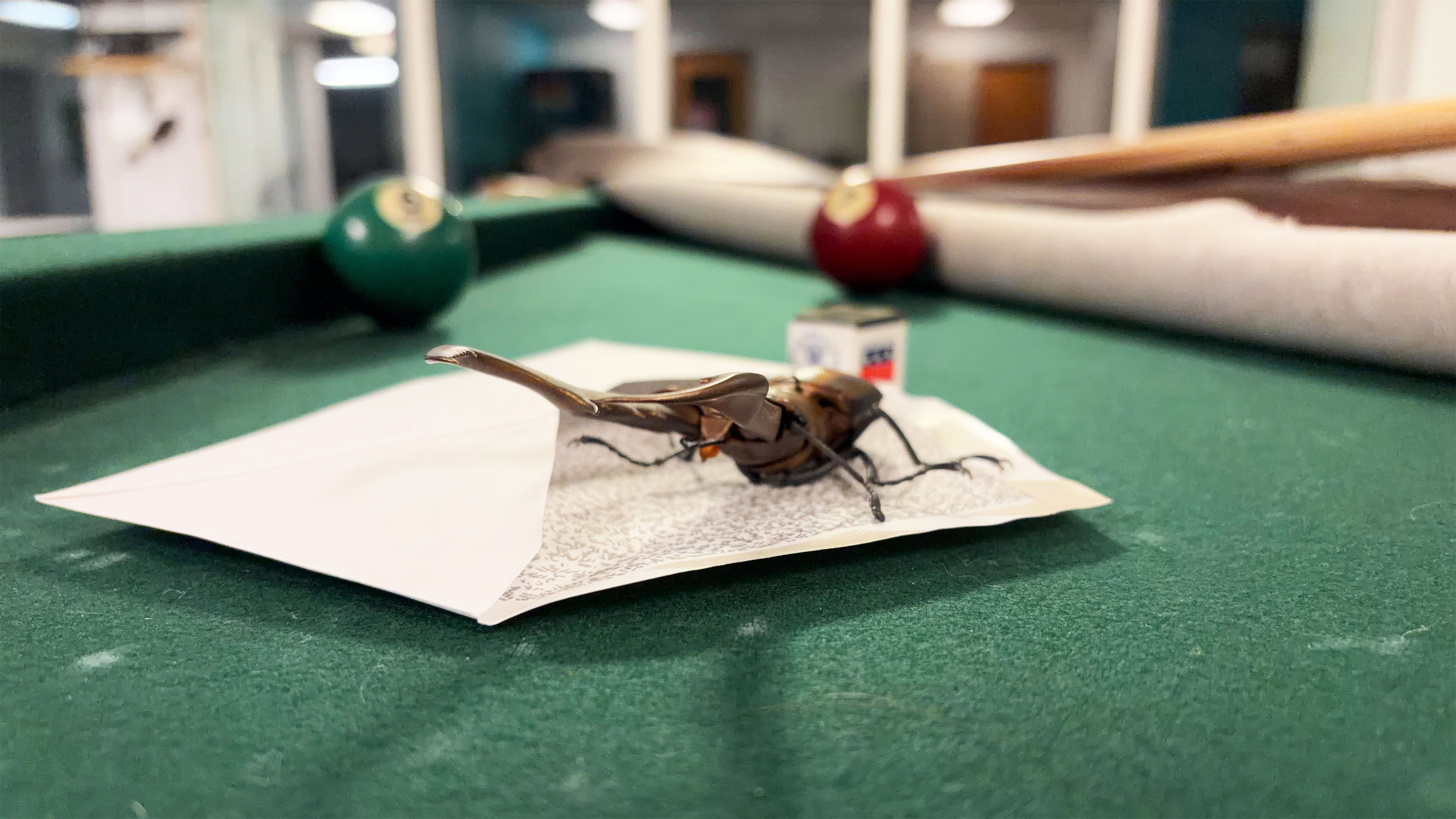 Bug Behind Schedule (2026)