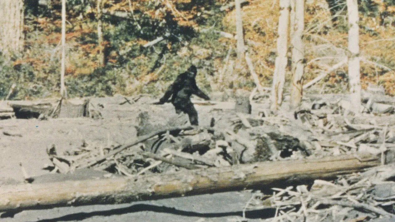 Capturing Bigfoot (2026)