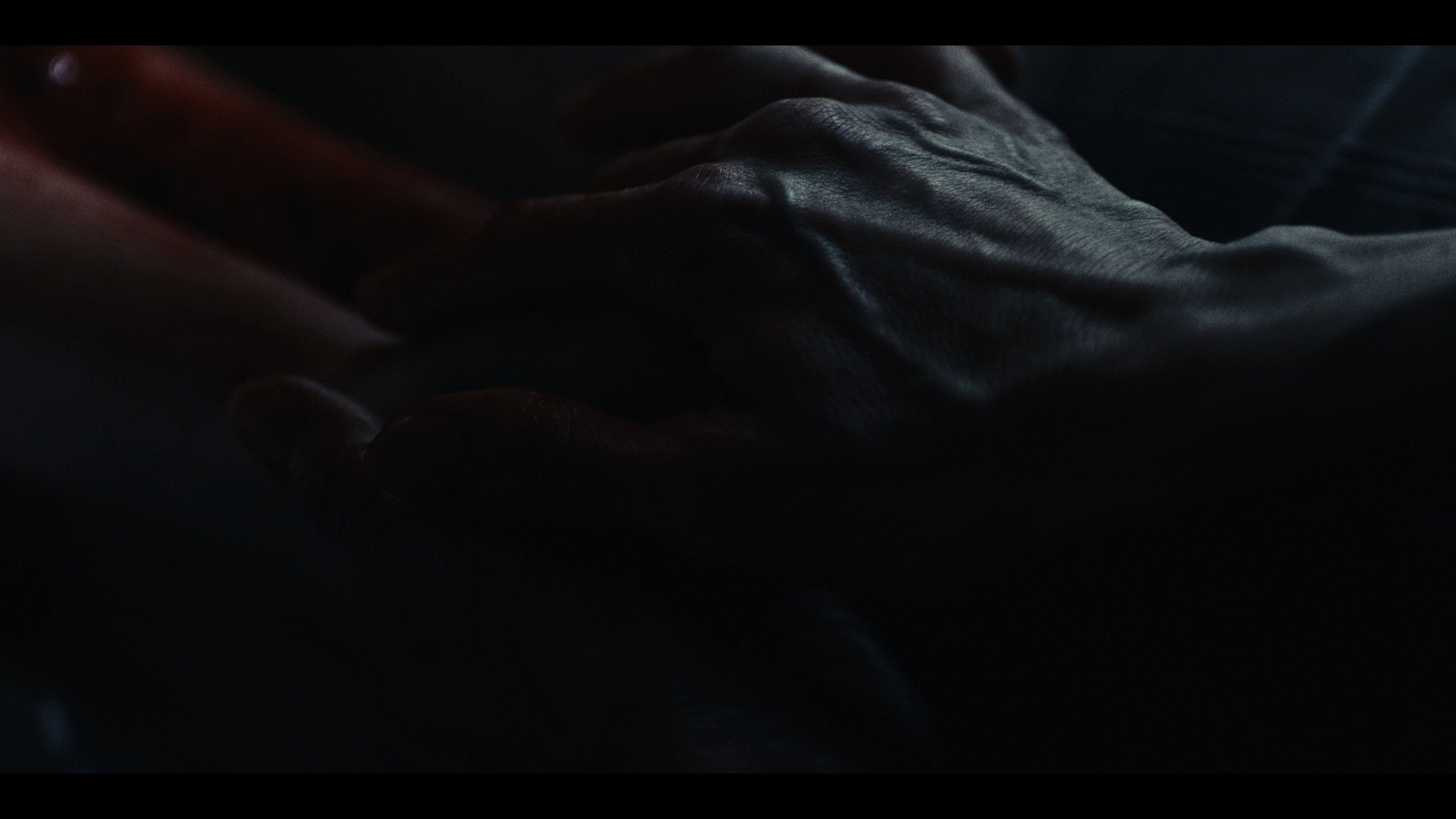 Carne (2026)