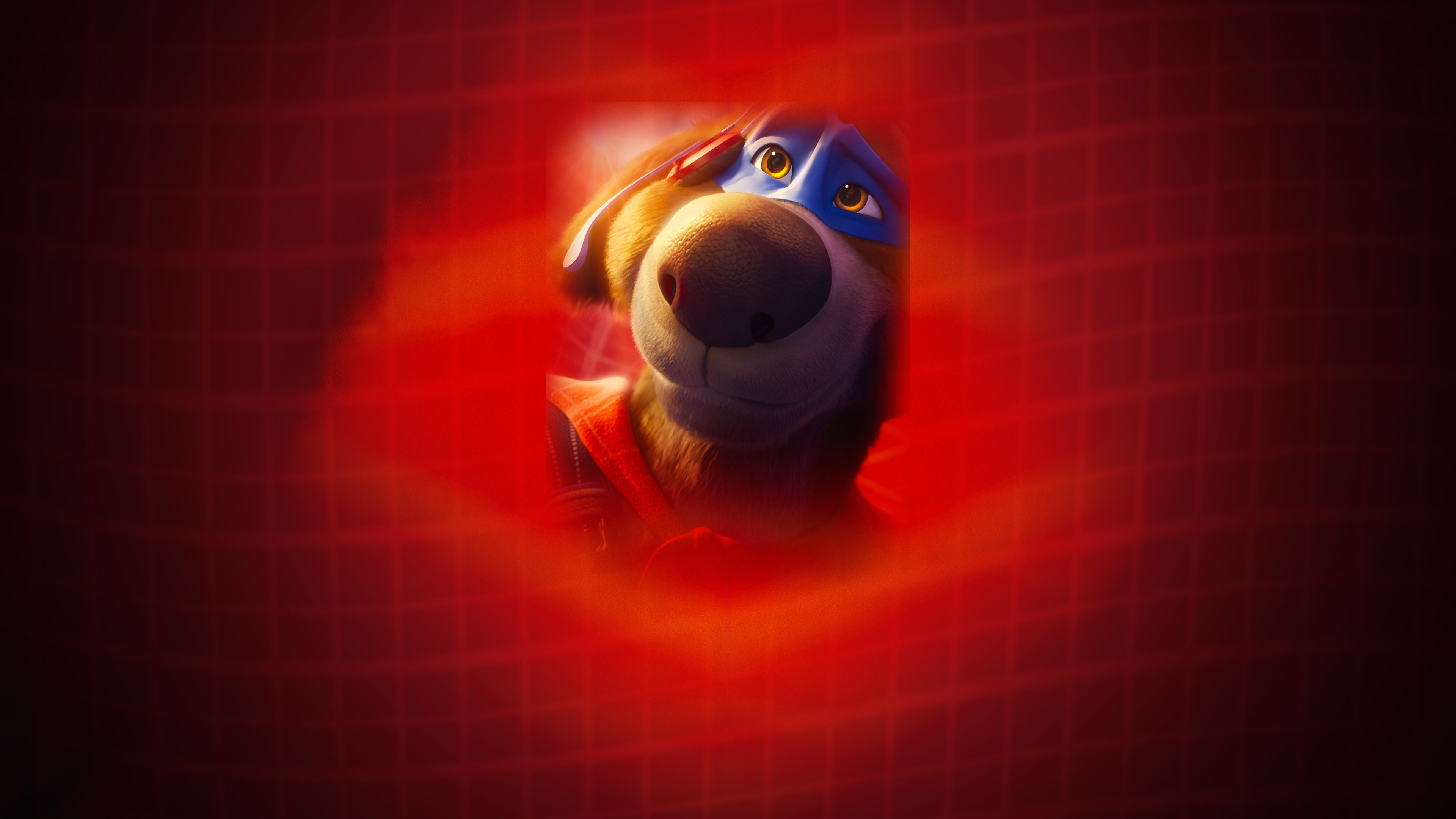 Charlie the Wonderdog (2026)