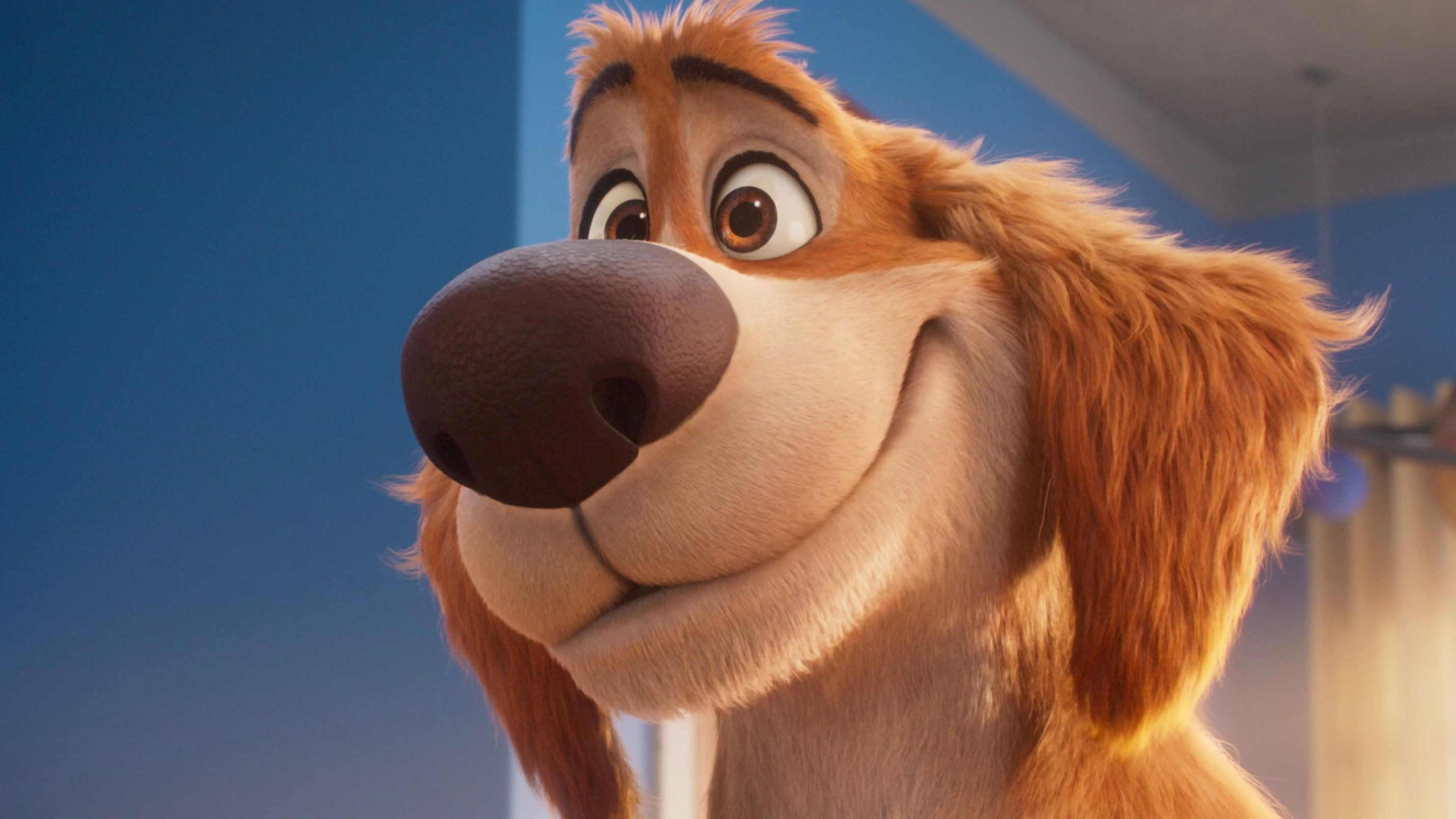 Charlie the Wonderdog (2026)