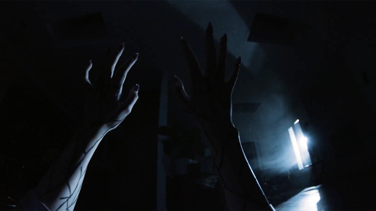 Chasing Shadows (2026)