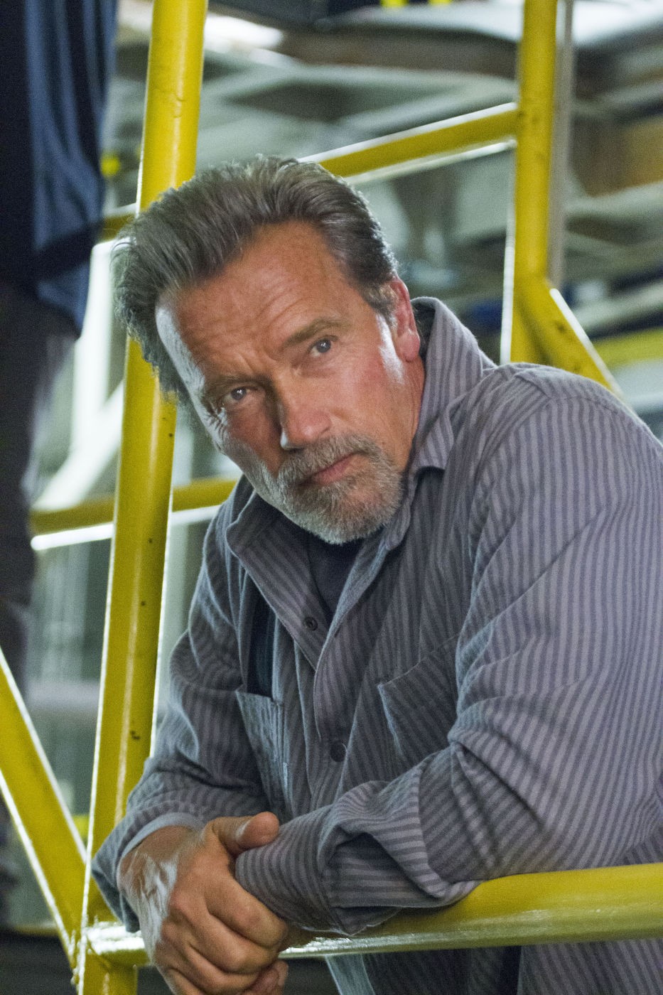 Arnold Schwarzenegger stars as Emil Rottmayer in Summit Entertainment's Escape Plan (2013)