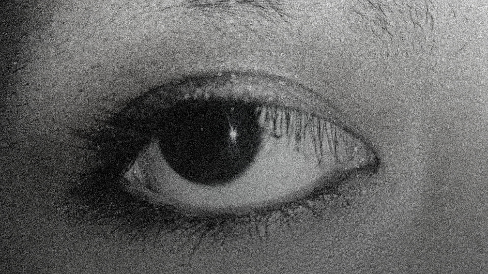 Eyes I (2026)