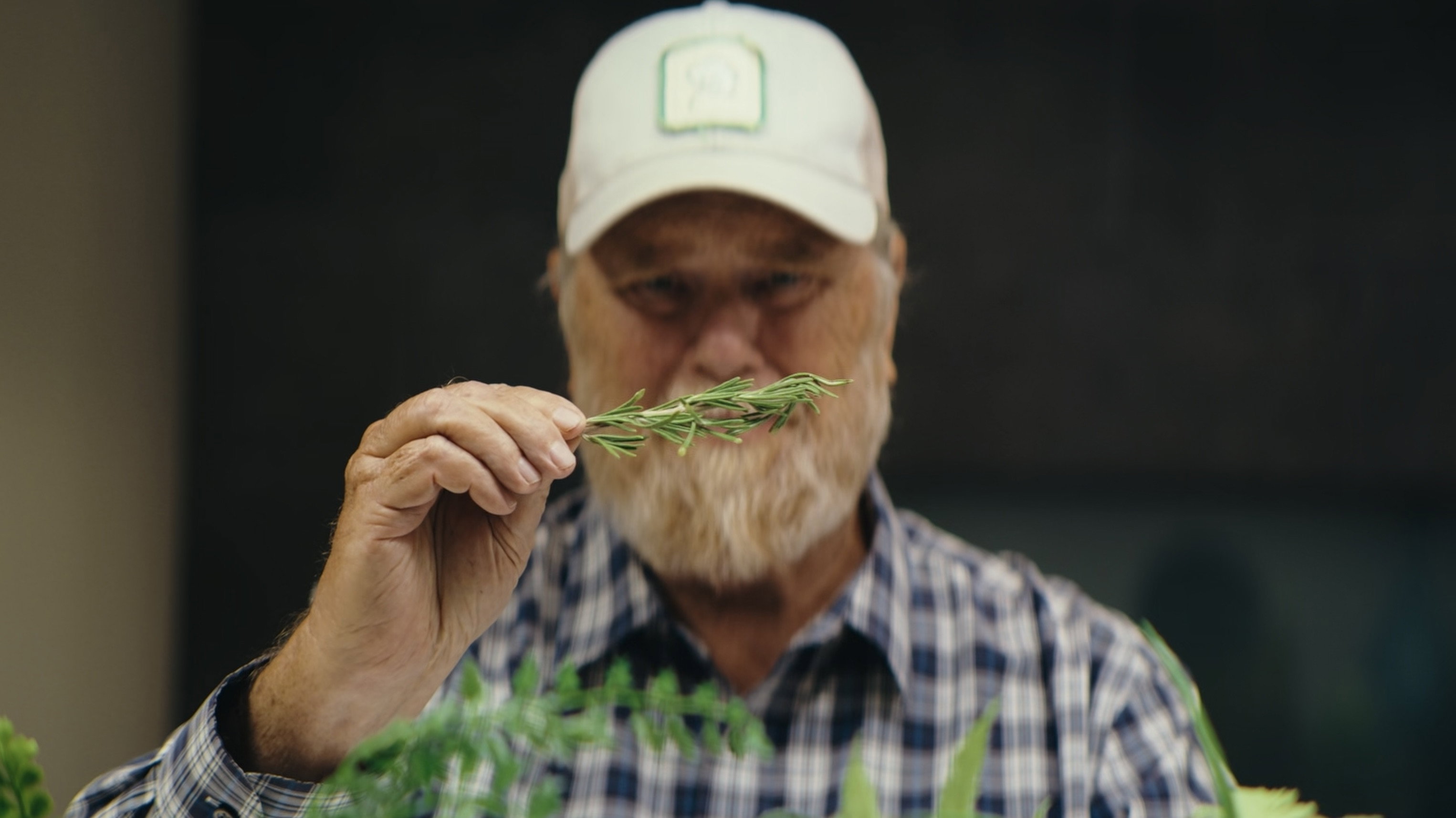 Farm to Table (2026)