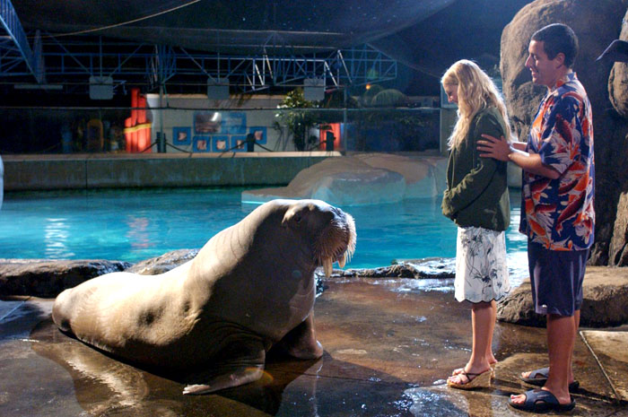Adam Sandler and Drew Barrymore in Columbia Pictures' 50 First Dates (2004)