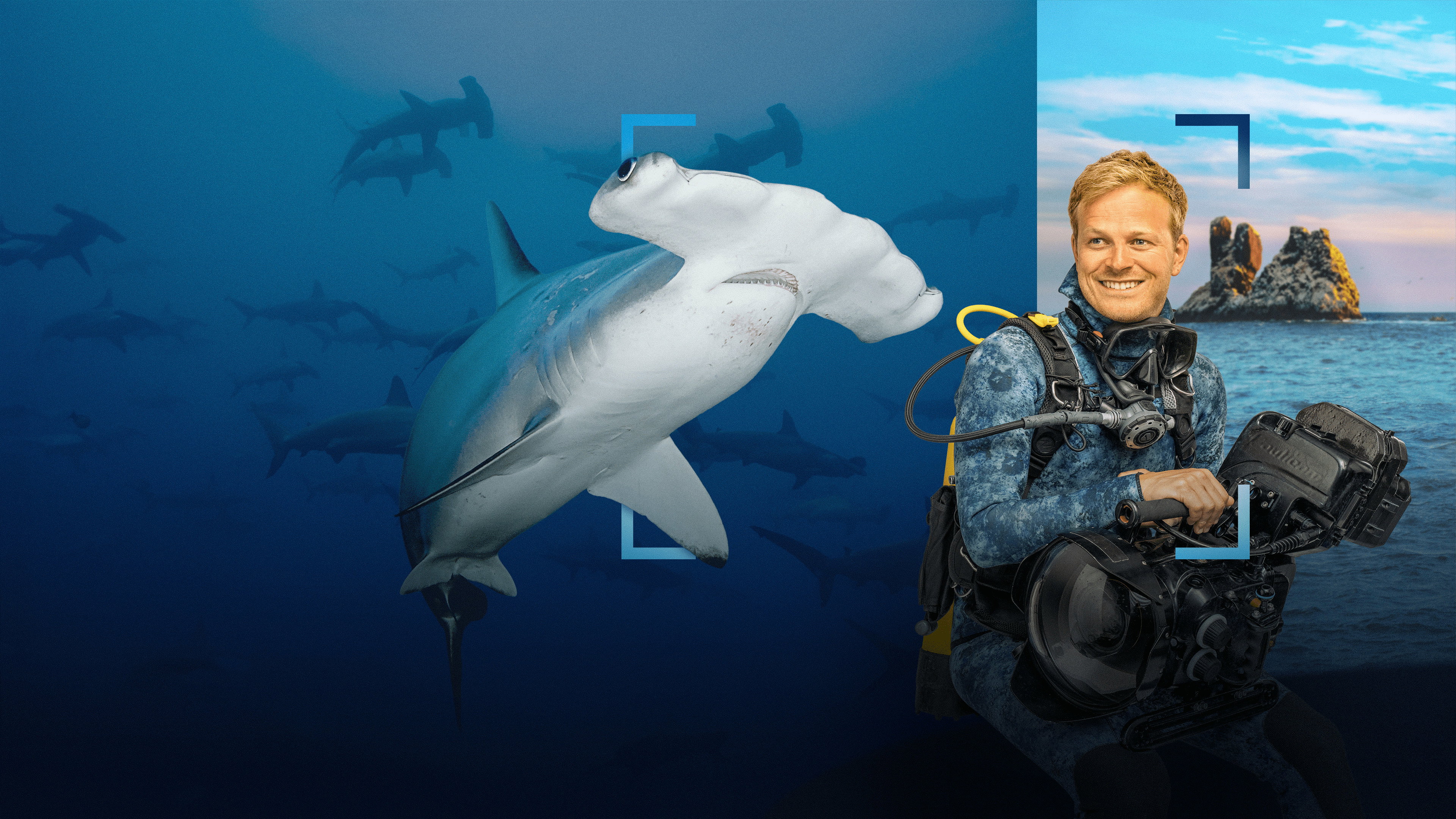 Hammerhead Sharks Up Close with Bertie Gregory (2026)