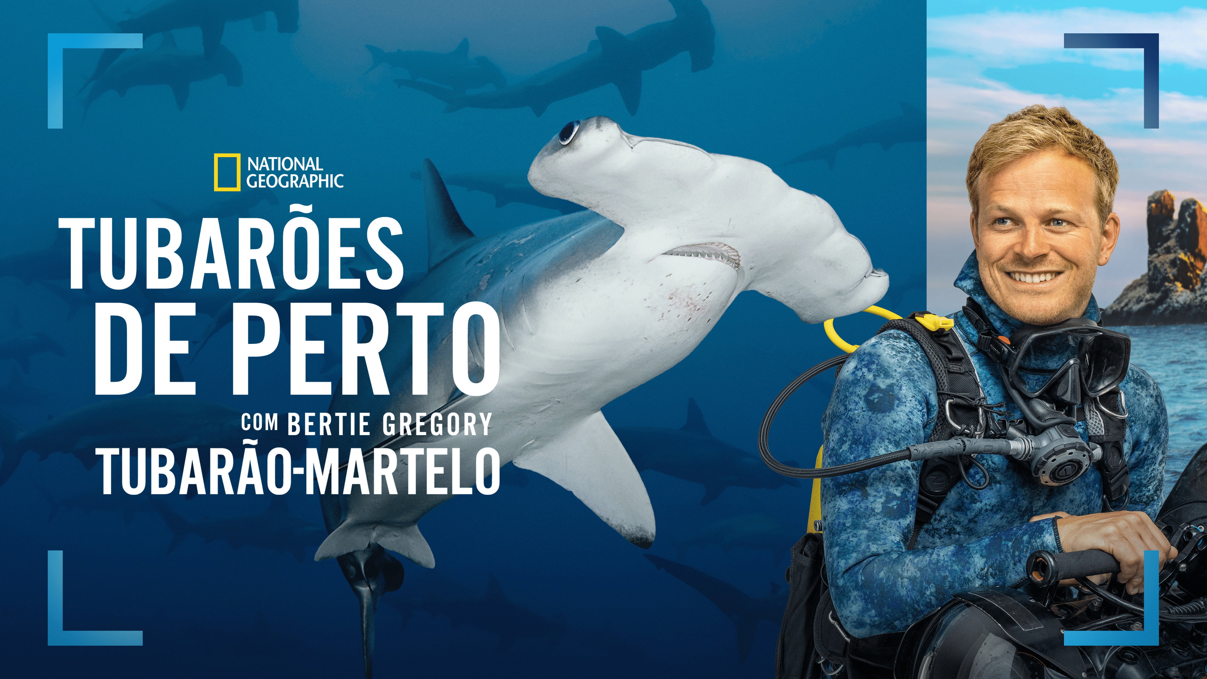 Hammerhead Sharks Up Close with Bertie Gregory (2026)