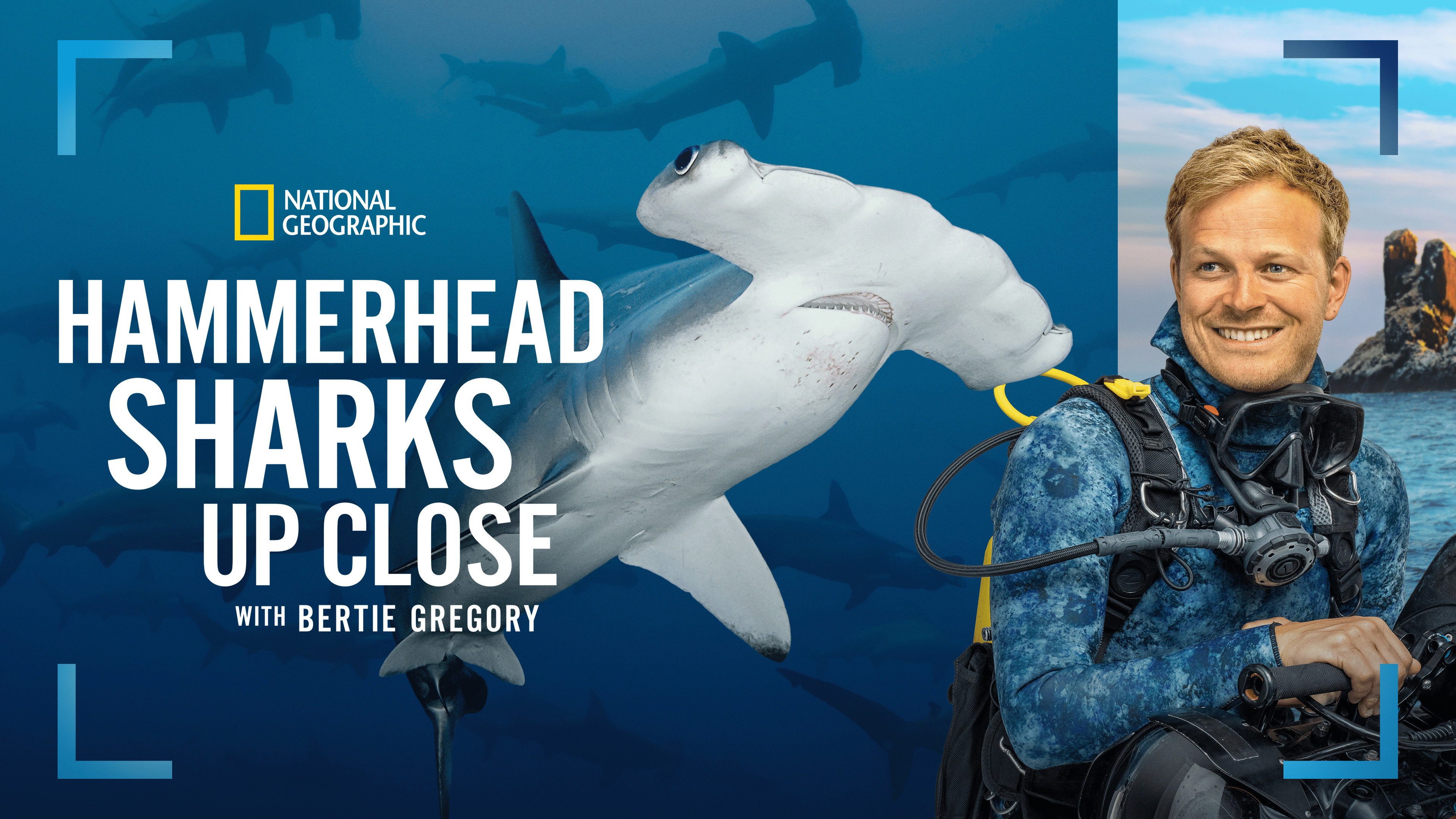 Hammerhead Sharks Up Close with Bertie Gregory (2026)