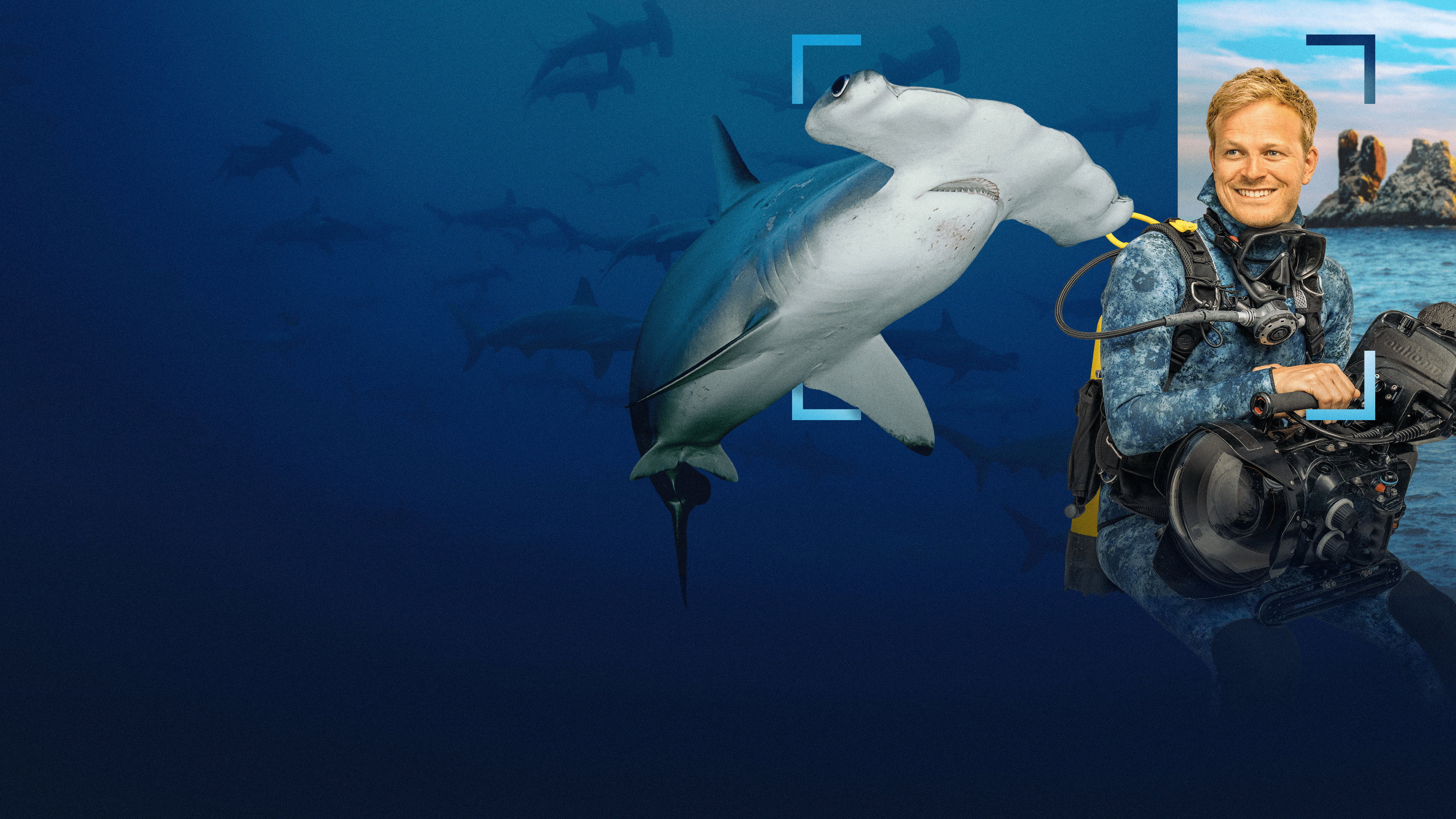 Hammerhead Sharks Up Close with Bertie Gregory (2026)
