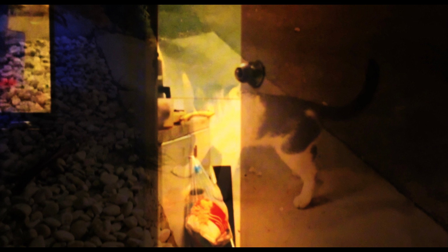 Hunger (2026)
