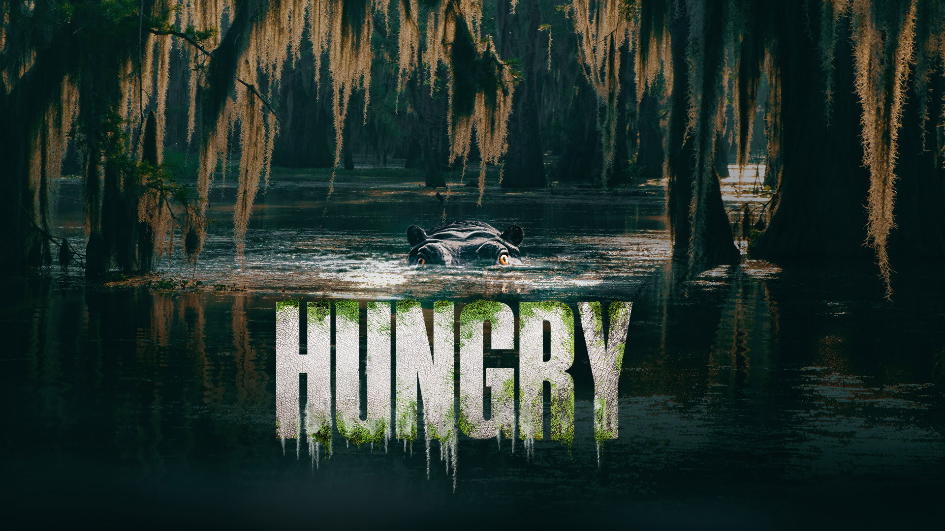 Hungry (2026)
