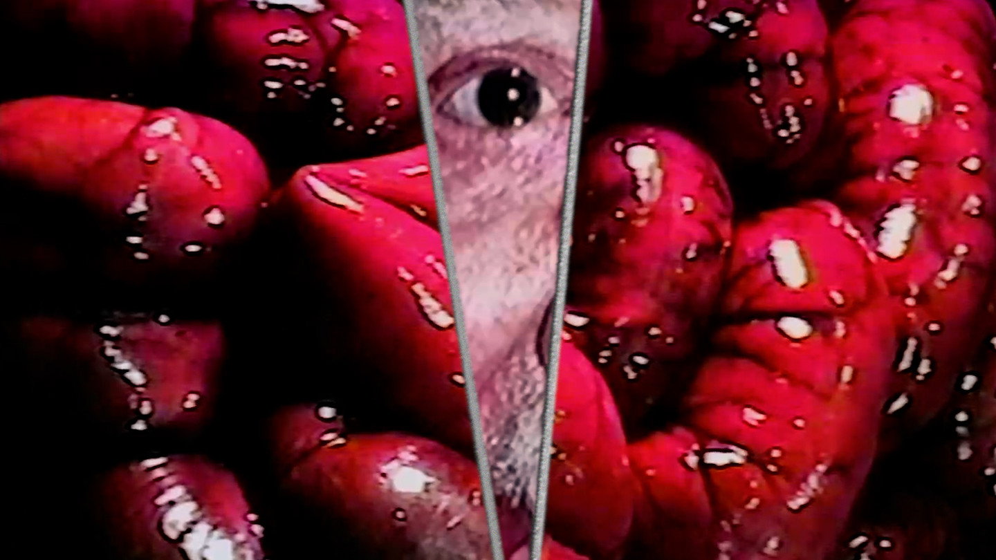 Intimate Bodies (2026)