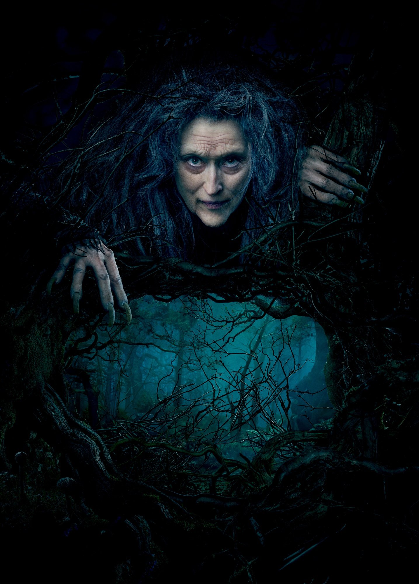 Meryl Streep stars as The Witch in Walt Disney Pictures' Into the Woods (2014)