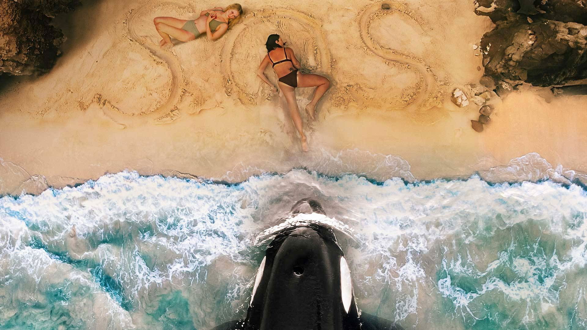 Killer Whale (2026)