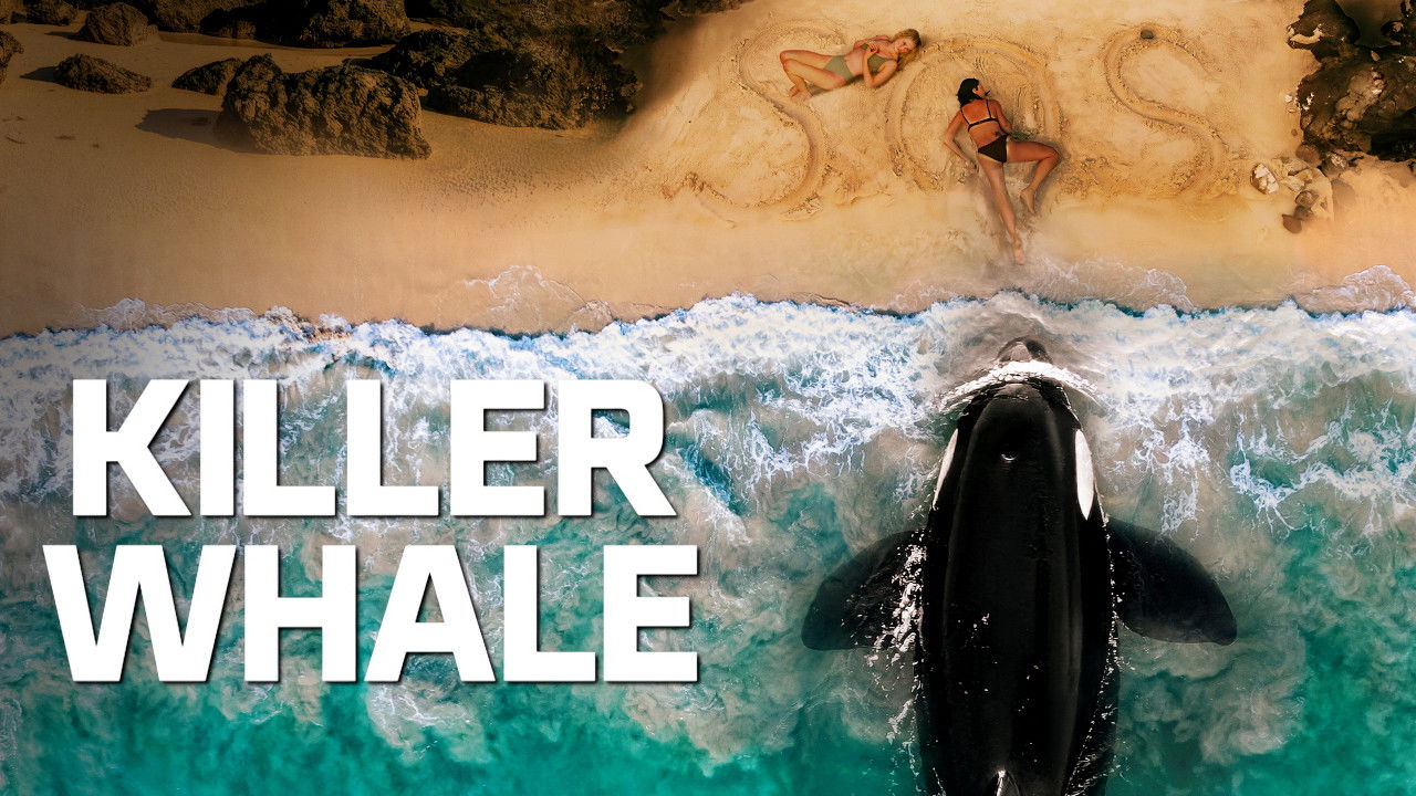 Killer Whale (2026)