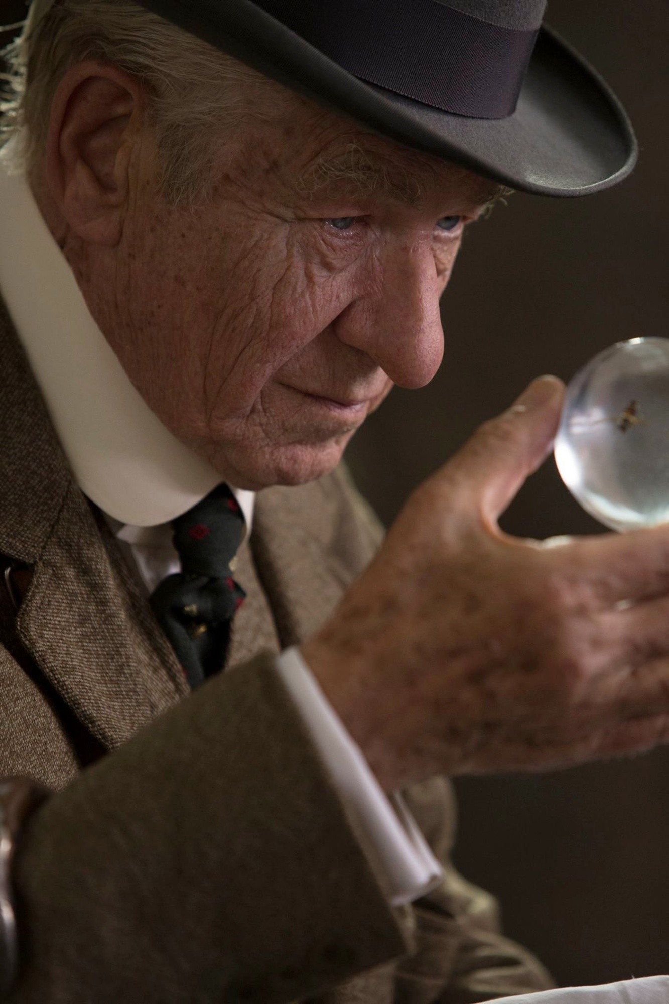 Ian McKellen stars as Sherlock Holmes in Roadside Attractions' Mr. Holmes (2015)