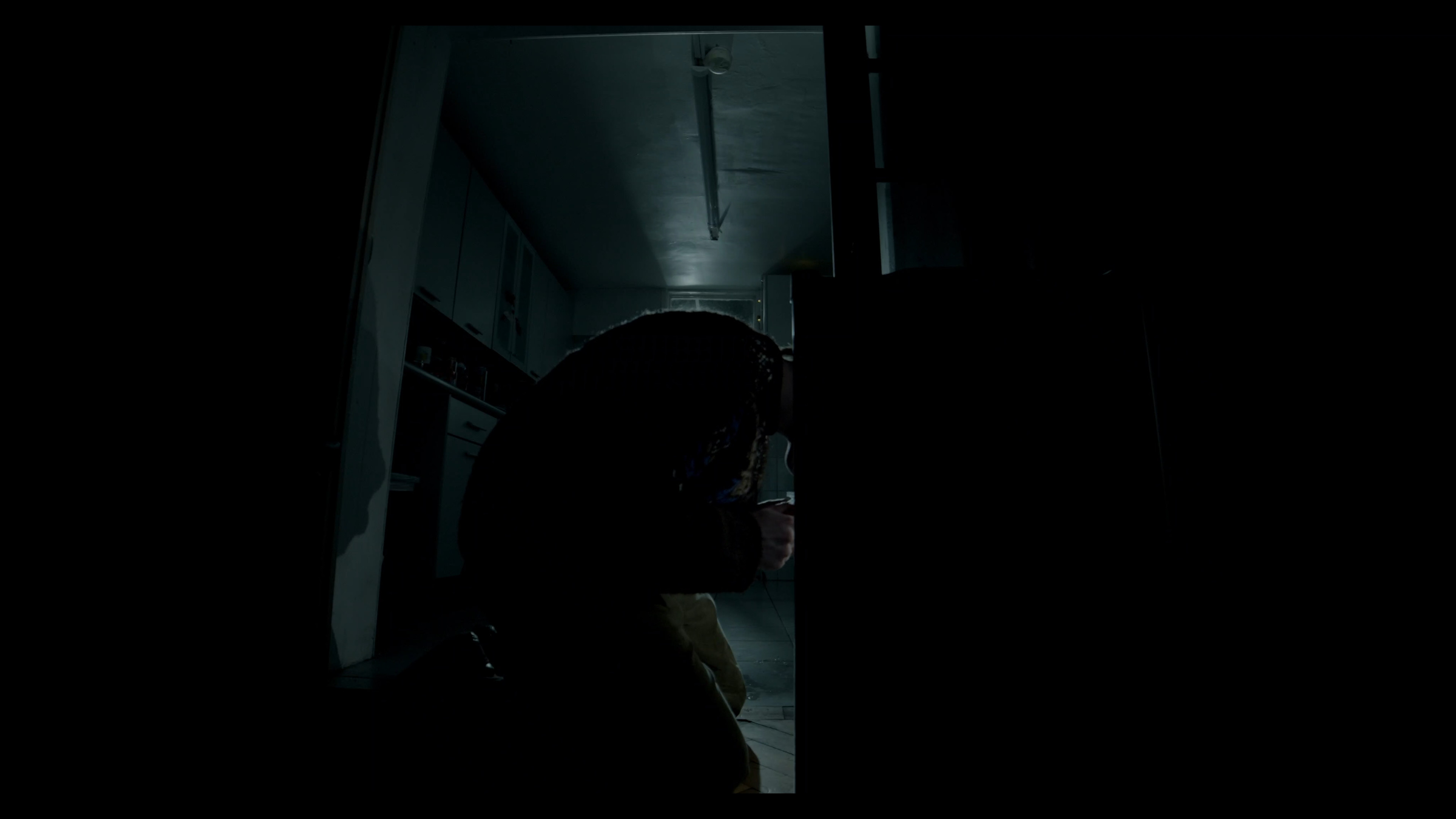Occupation (2026)