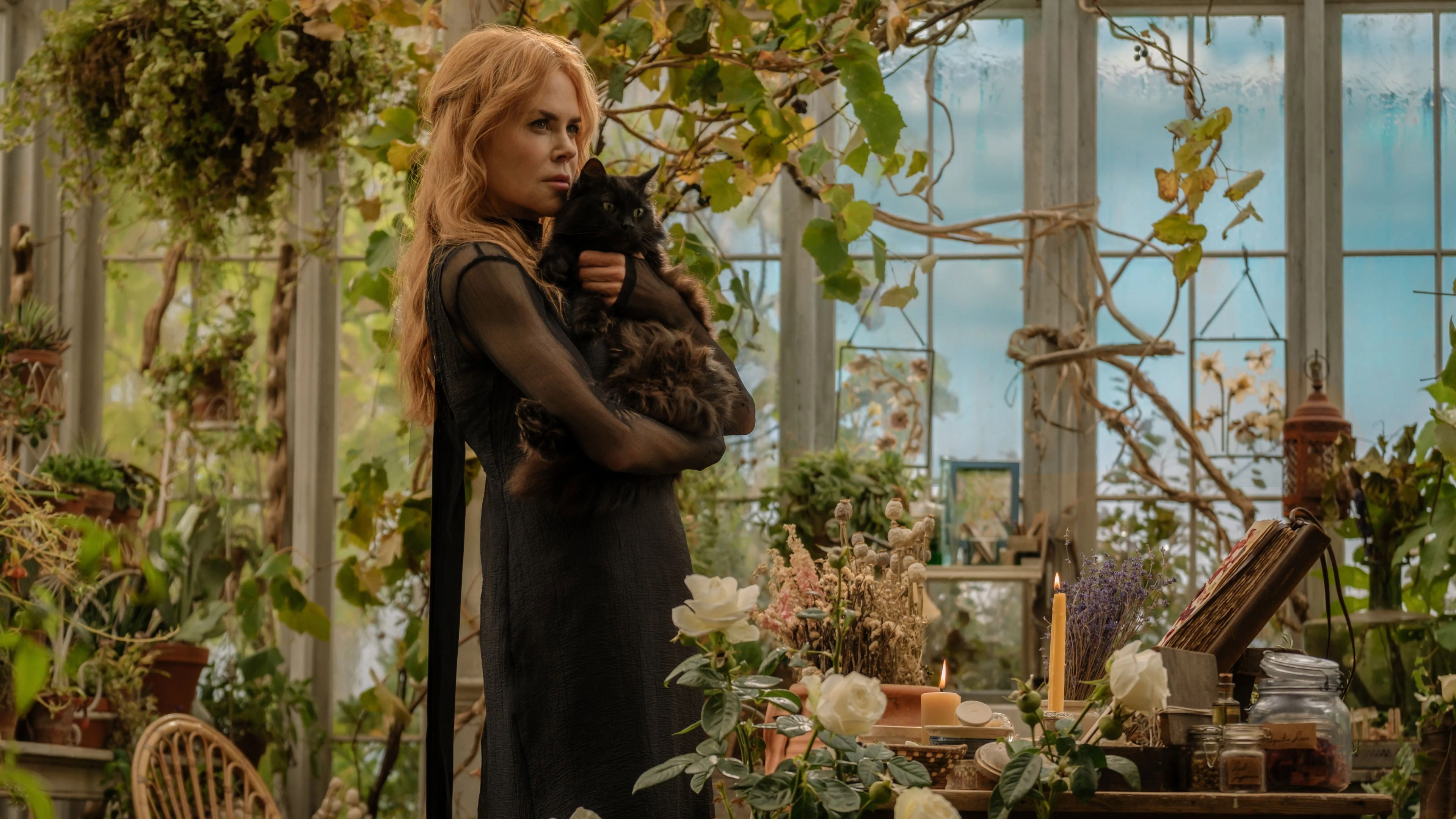 Practical Magic 2 (2026)