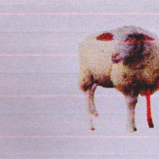 3 Lambs (2026)