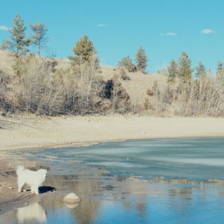 50 Hours to Wyoming (2026)