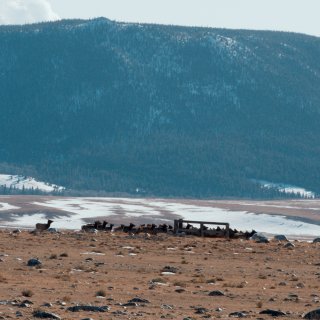 50 Hours to Wyoming (2026)