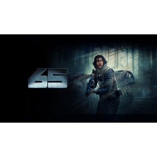 65 (2023)