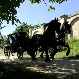 Dangerous Method, A Picture 127