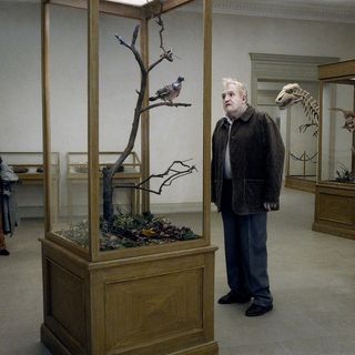 Nils Westblom stars as Sam in Magnolia Pictures' A Pigeon Sat on a Branch Reflecting on Existence (2015)