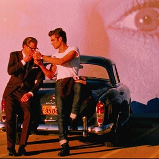 Single Man, A Picture 12