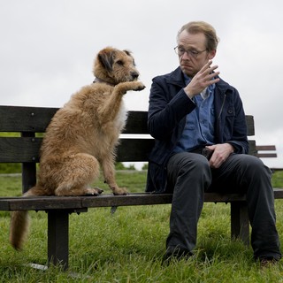 Absolutely Anything Picture 13