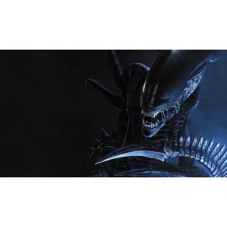 Alien vs. Predator (2004)